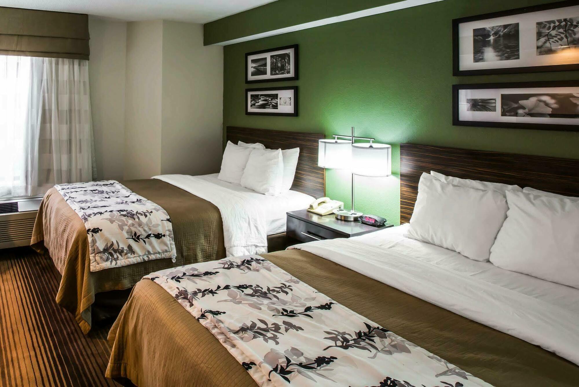 Sleep Inn & Suites Kingsport Tricities Airport Eksteriør bilde